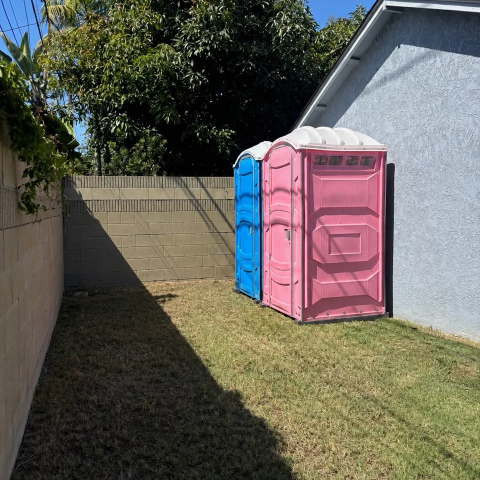 Backyards & community events